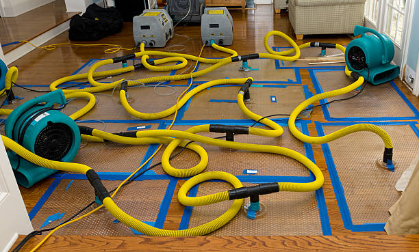 Professional Water Damage Restoration technician working in Cooperstown, NY